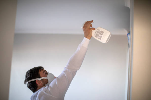 Best Localized Mold Remediation (e.g., coastal areas, humid climates) in St Peter, WI